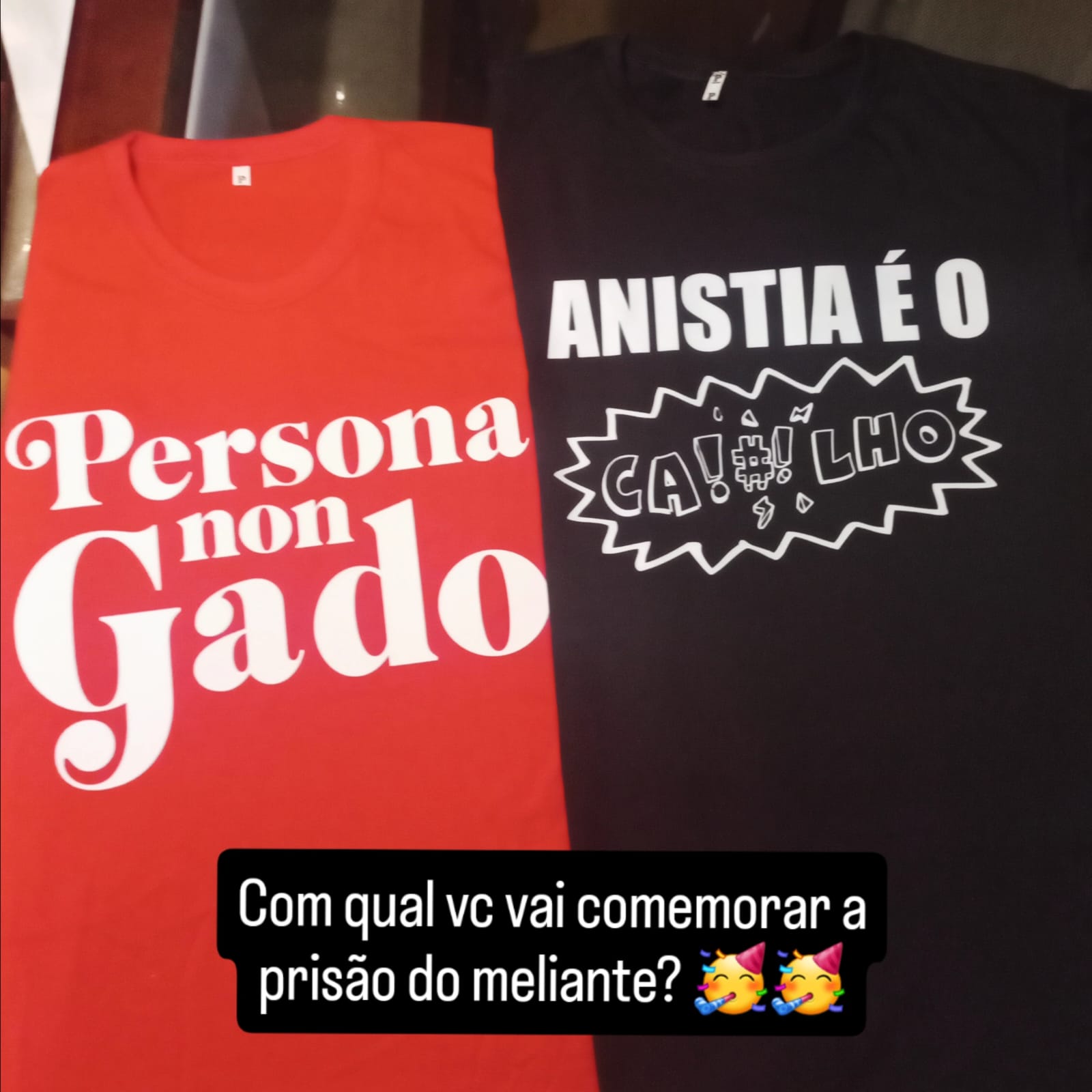 Camiseta Anistia é o Caralho 14 Camiseta Anistia é o Caralho